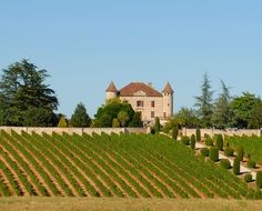 wine chateau in France