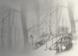 grey and foggy mystic forest drawing