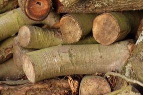 A pile of stacked firewood