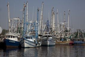 fishing ships in the harbor