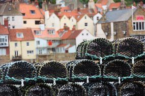 baskets for fish