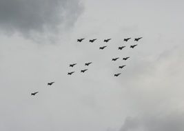 photo of airshow demonstration