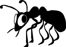 graphic image of a black insect