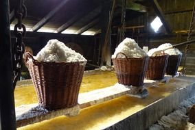 salt baskets industry