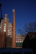 The plant's pipe pollutes the environment