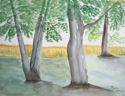 trees forest drawing