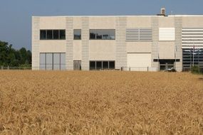 factory near wheat field