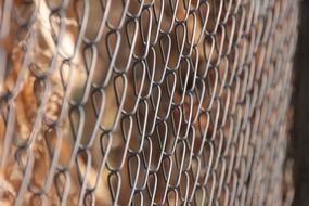 chain fence galvanized