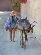 walking woman with donkey, peru,nazca