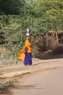 india woman saree worker poor