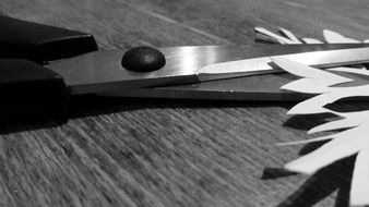 Scissors and a snowflake made of paper on a table