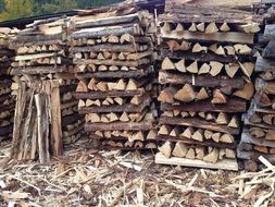 a lot of firewoods in a heap