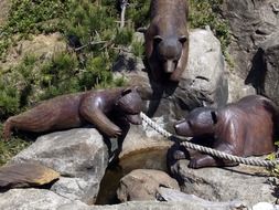 wooden sculptures of bears in Oregon