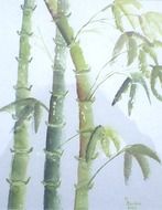 graphic image of bamboo