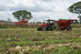 mechanical cleaning of the agricultural field