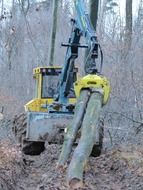 the tractor carries logs from the forest