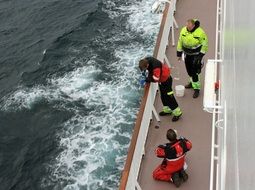 Painter workers on a ship