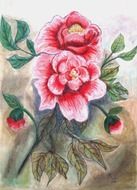 two pink peony flowers with buds, painting