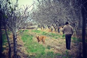 worker with dog in the garden