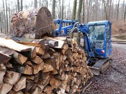 forest works with an excavator