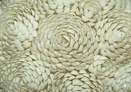 white shell flowers, polynesian craft work