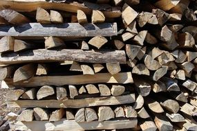 stack of forest wood pieces