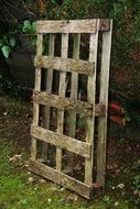 wooden pallet in the forest