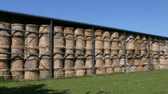 hay bales stock