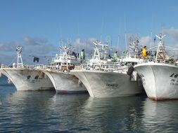 docked cargo ships