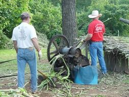 sorghum press