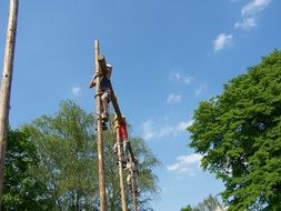 climbing high trees