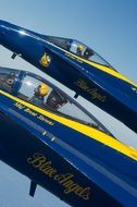 pilot of blue angels aircraft