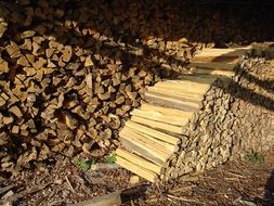 firewood stock