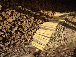 firewood stock