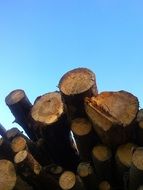 stacked up wood