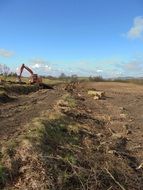 tree felling construction