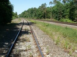 Railway in the forest