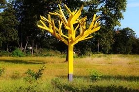 wood tree art model