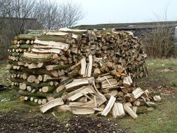 wood firewood stack