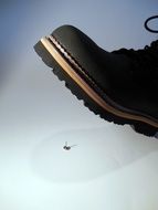 risk of an accident with leg