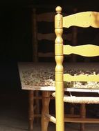 drying grapes on the table