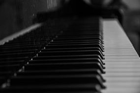 piano keys monochrome photo