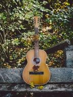 acoustic guitar