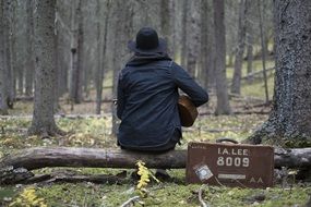 Musician in the forest