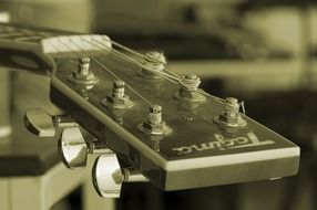 strum musical instrument