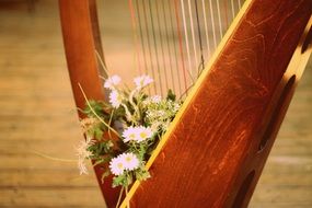 bouquet of white daisies in harp