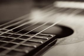 Guitar strings closeup