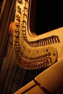 Wooden harp, detail of musical instrument