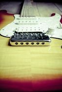 bottom view of the guitar