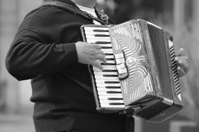 man playing a musical instrument accordion